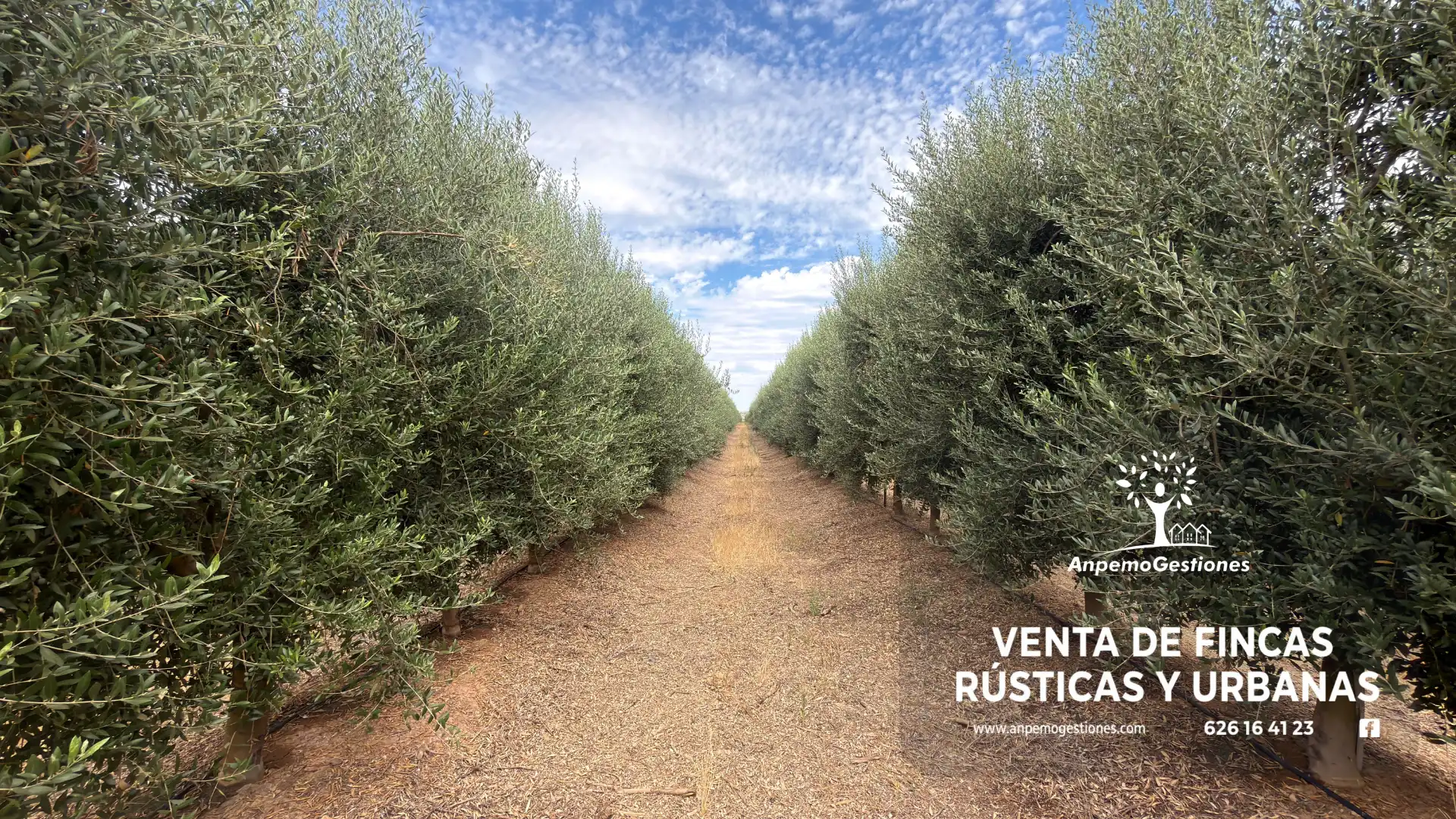 Terreny rústic en venda a Camino Naves de los Labradore 10
