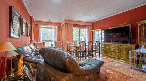 Photo 4 of Flat for sale in Parque María Luisa -Giralda Sur, Sevilla