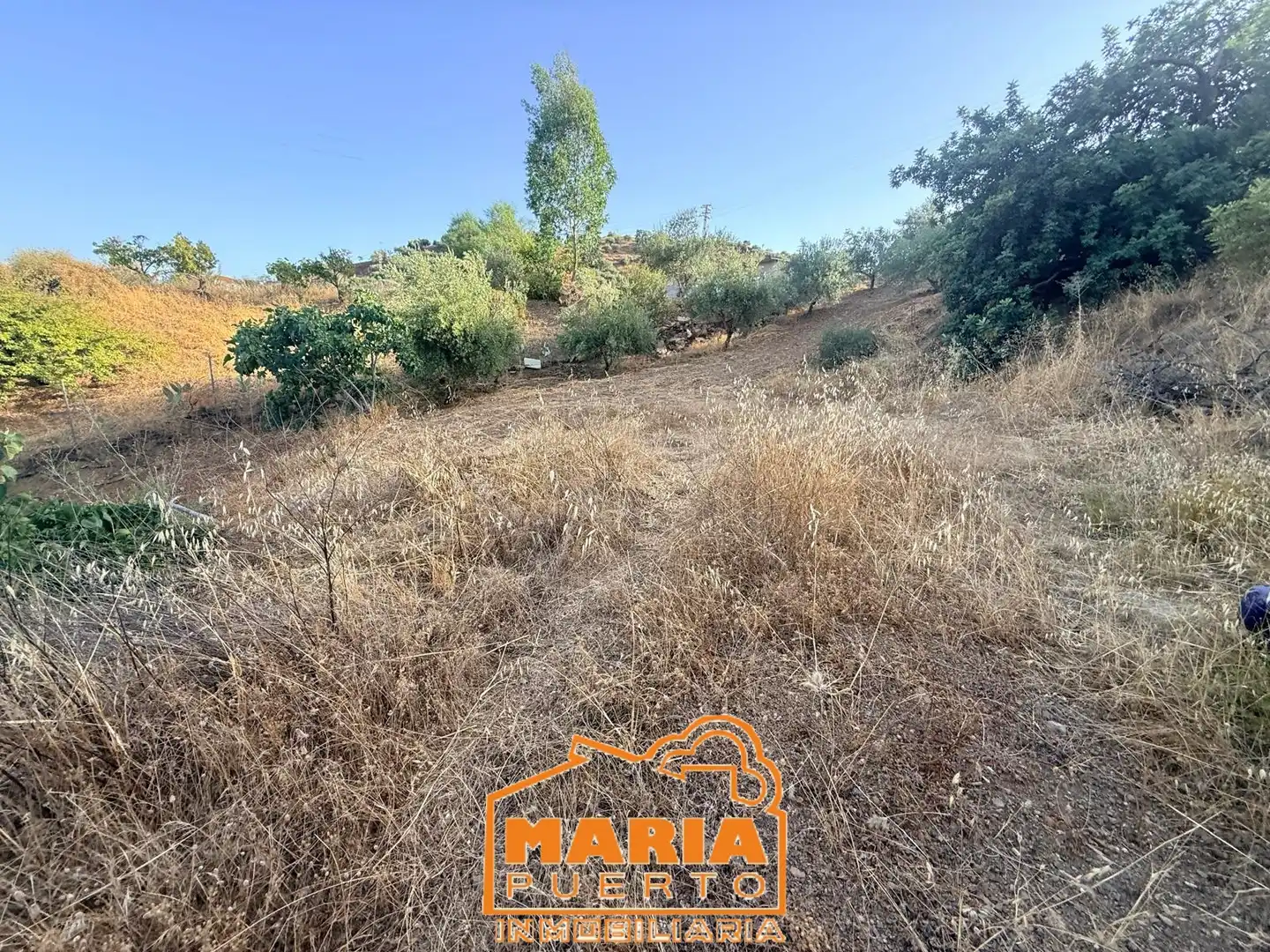 Terreno rustico in vendita a Almogía, imagen 17