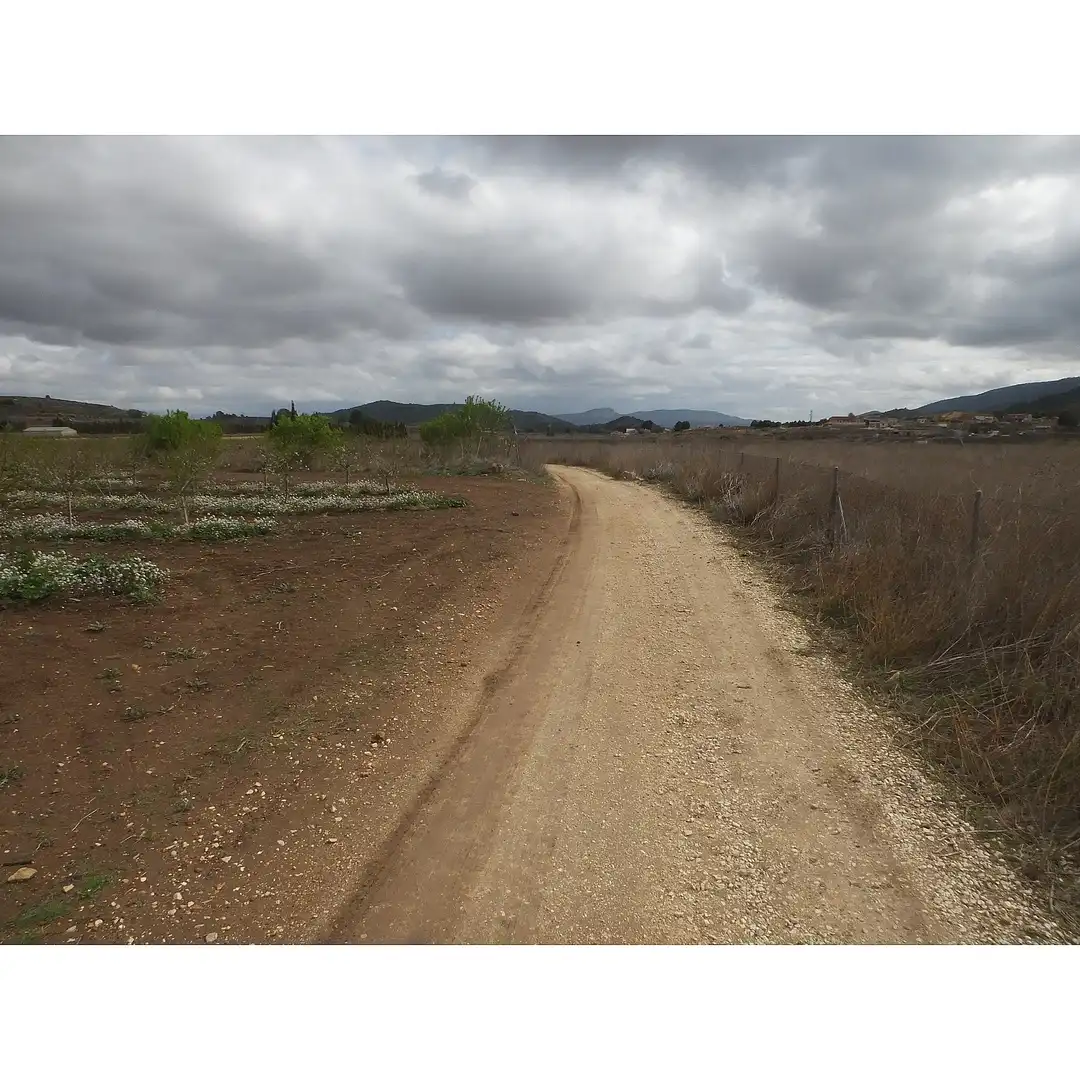 Rustikales Grundstück zum Verkauf in El Pinós / Pinoso, imagen 7