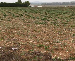 Terreny en venda en Jerez de la Frontera