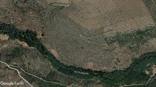 Terreno en Venta en Navas de San Juan