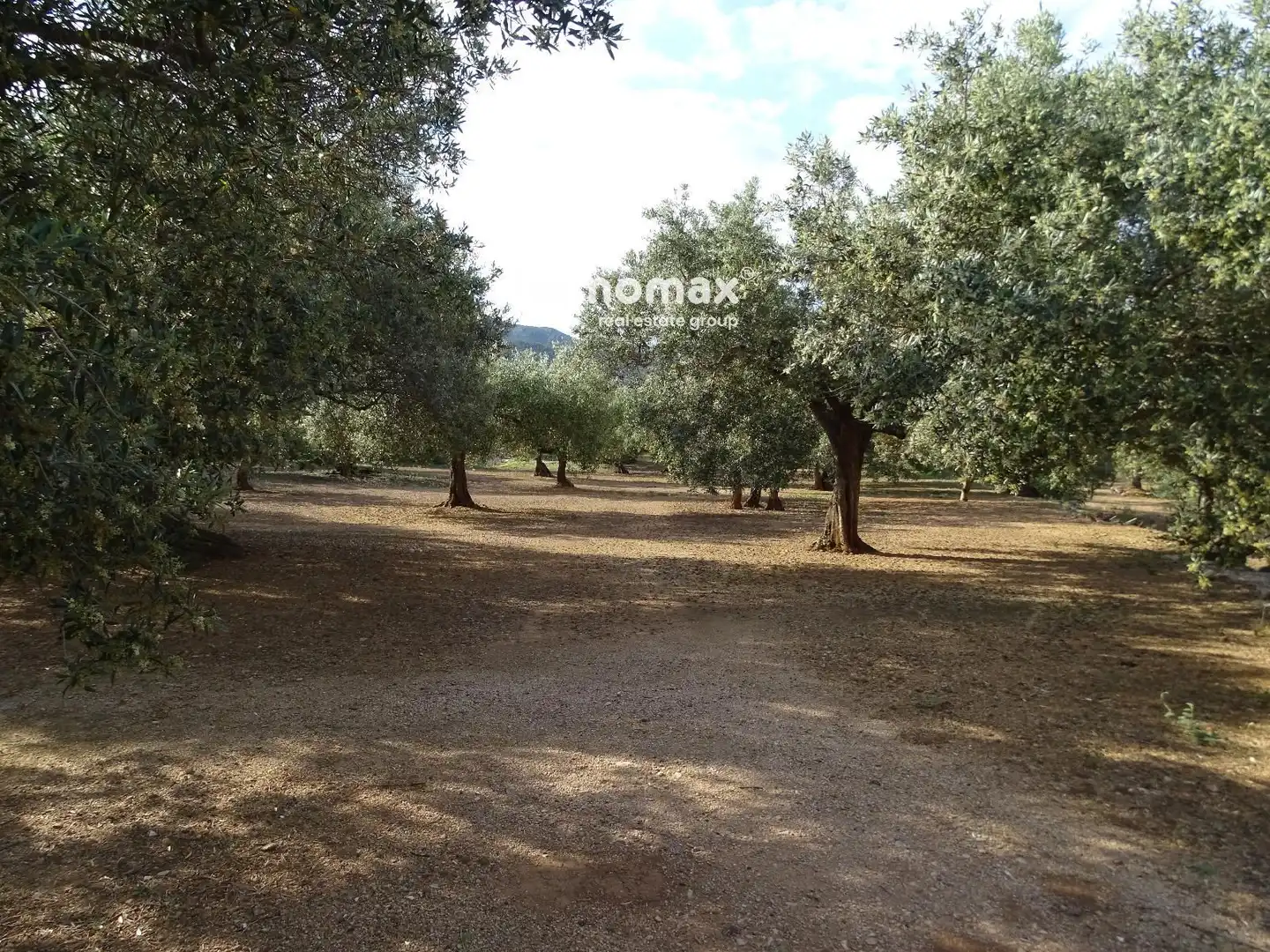 Terrain résidentiel à vendre à 14, imagen 5