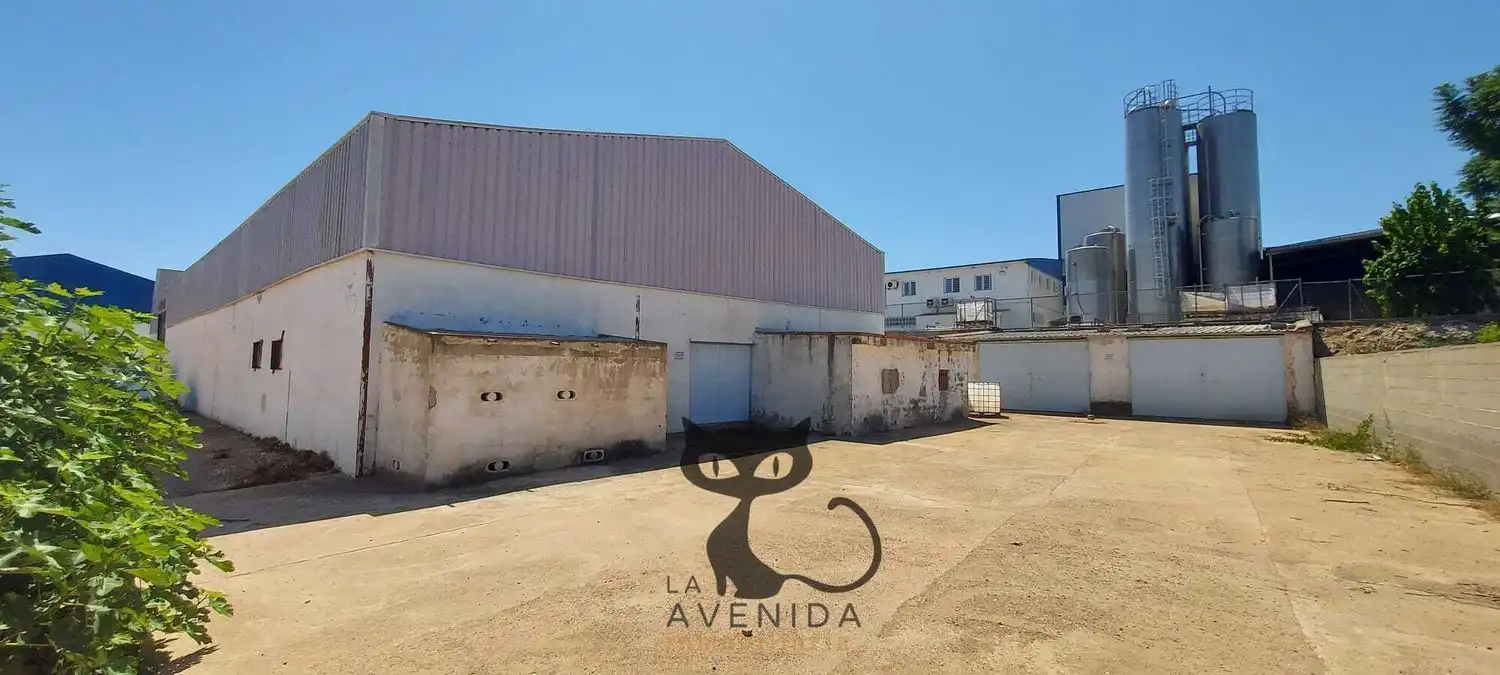 Vista exterior de Local en venda en Real