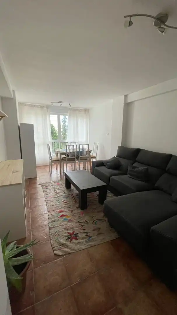 Sala d'estar de Pis de lloguer en Ferrol amb Calefacció, Moblat i Forn