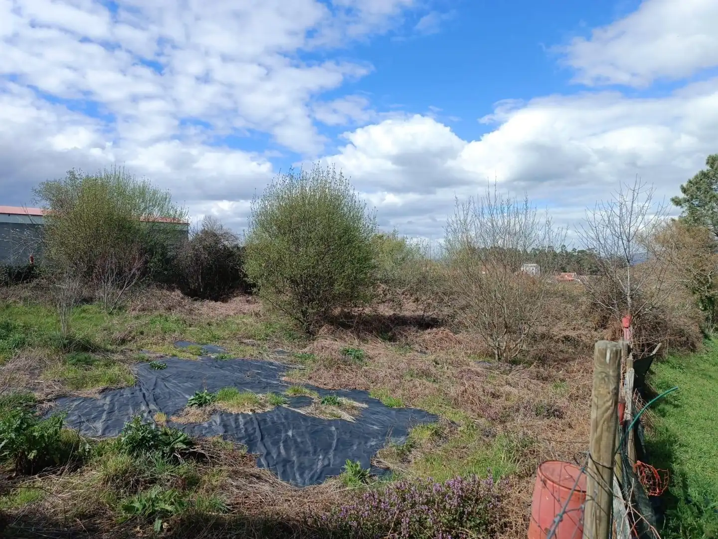 Residential land for sale in Calle Muíño, imagen 13