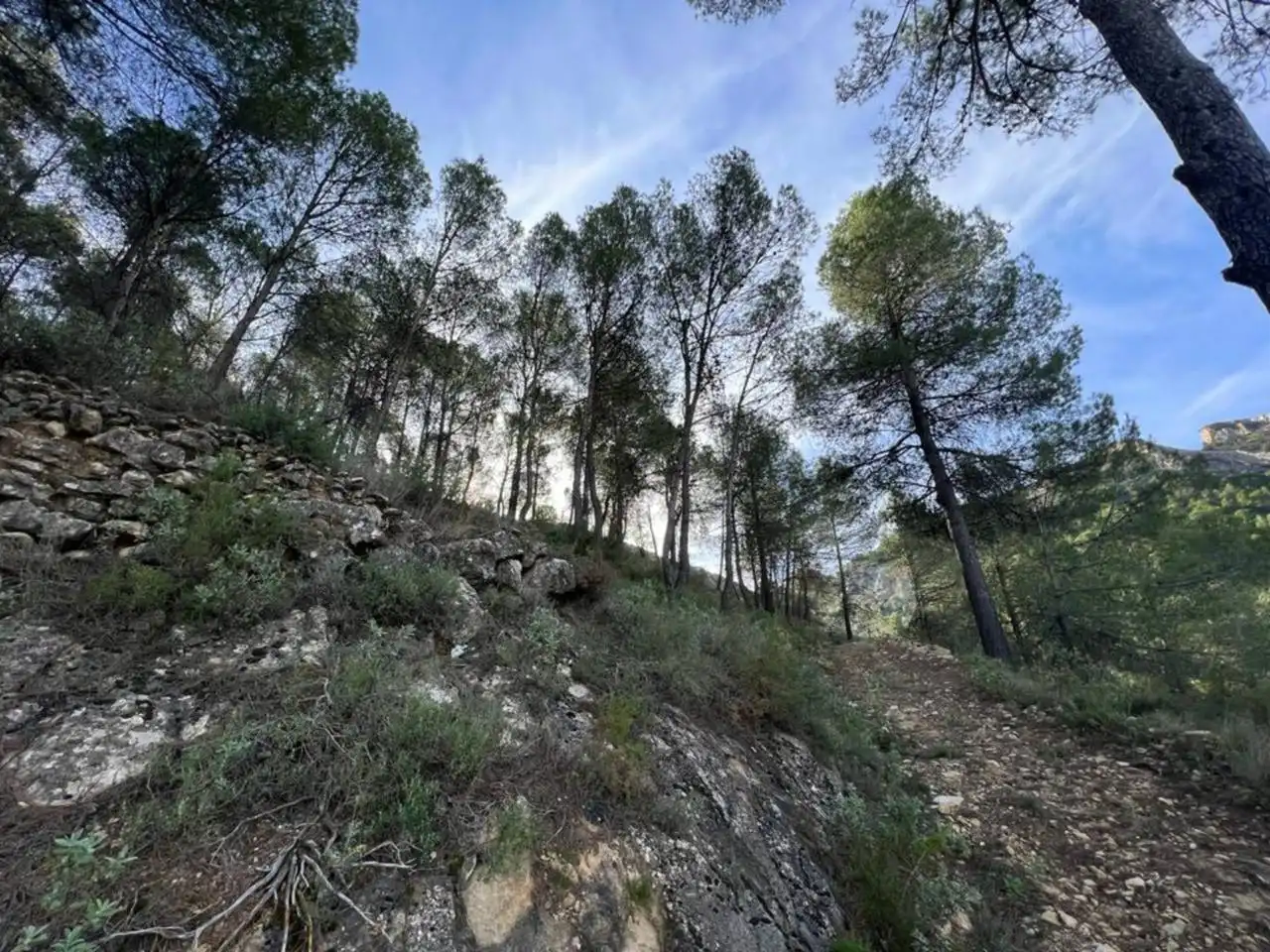 Villa avec jardin à vendre à Penàguila, imagen 78