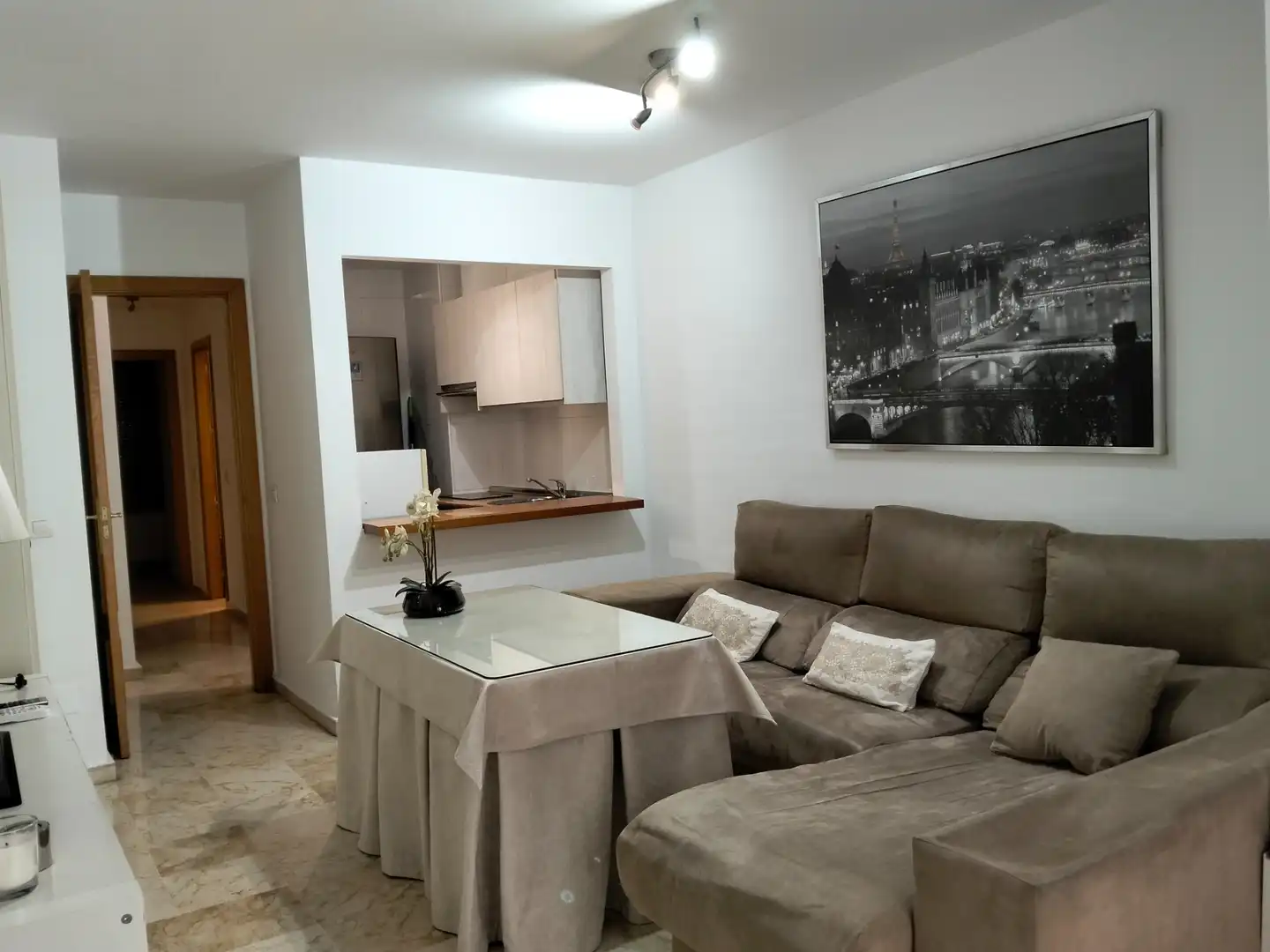 Sala d'estar de Apartament de lloguer en Málaga amb Moblat