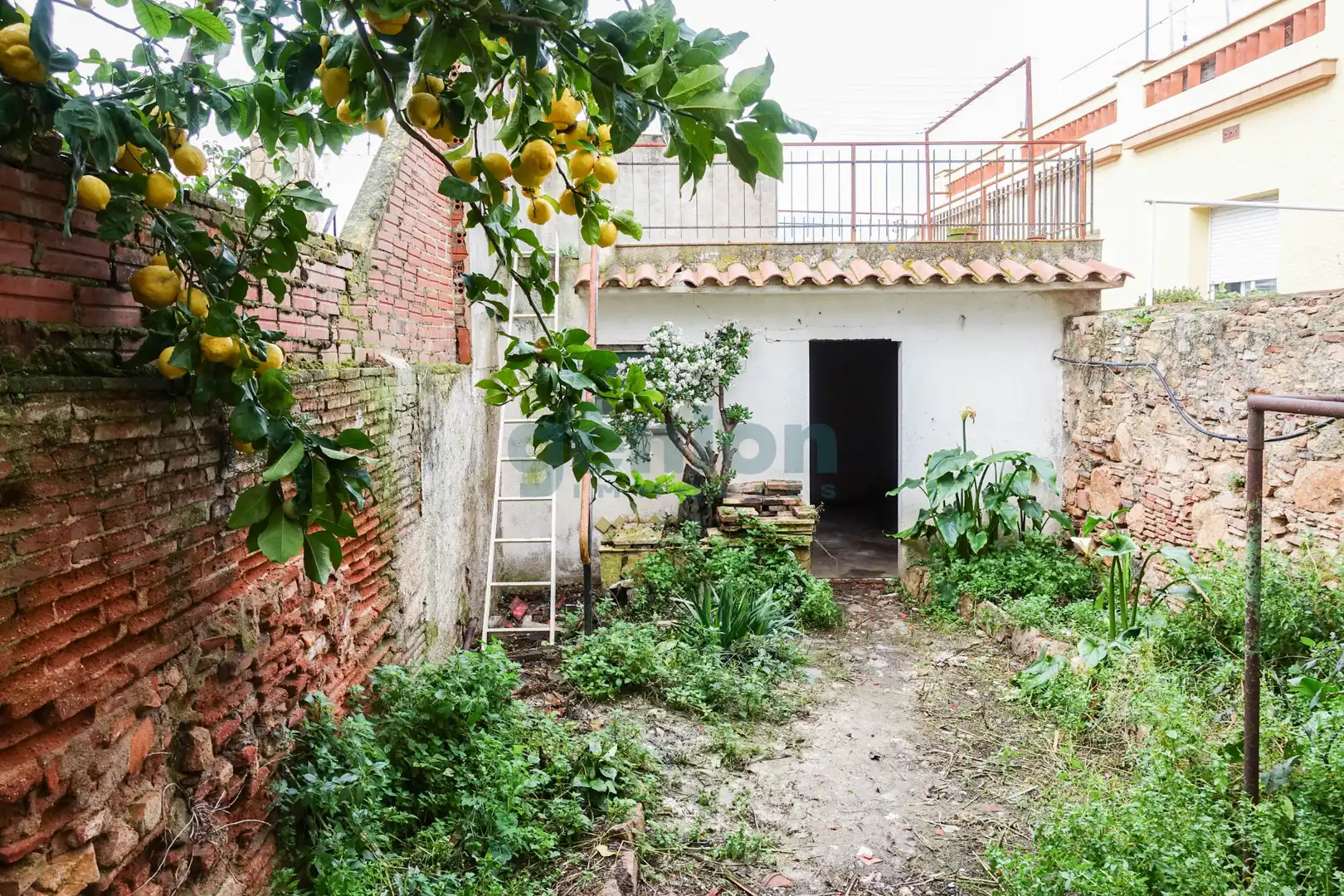 Maison avec jardin à vendre à Eixample, imagen 26