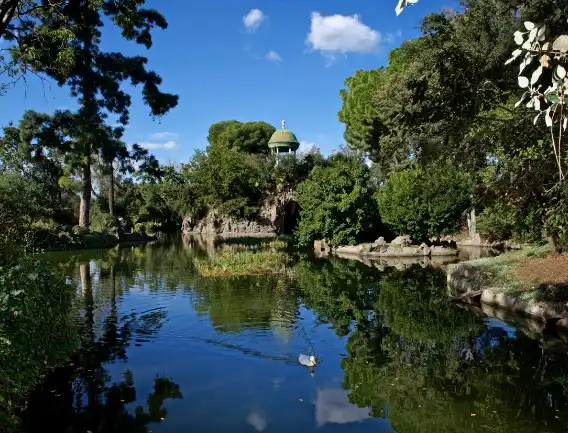 Jardí de Local en venda en Centre  