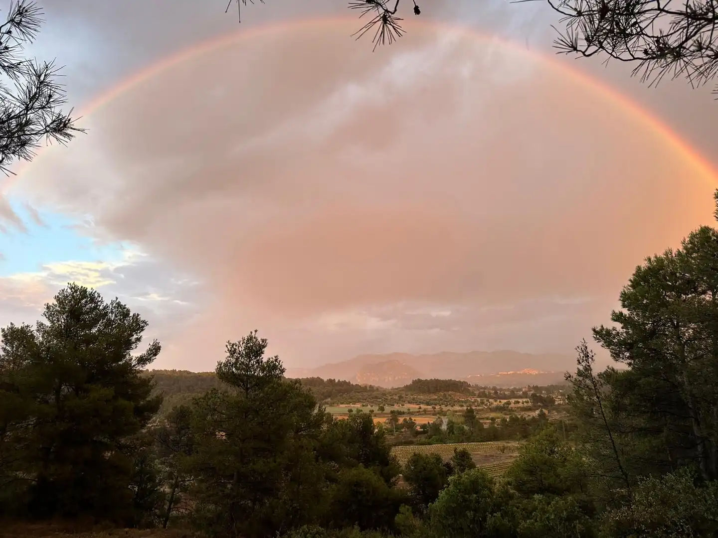 Terreni e lotti in vendita a Arens de Lledó, imagen 16
