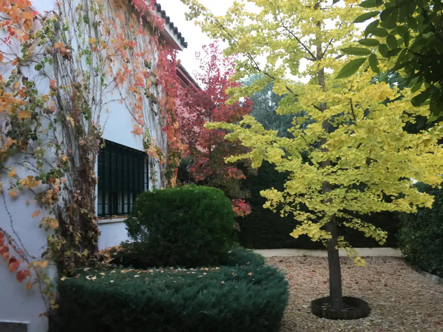 Jardín de Casa o chalet en venta en Bormujos con Aire acondicionado, Calefacción y Jardín privado