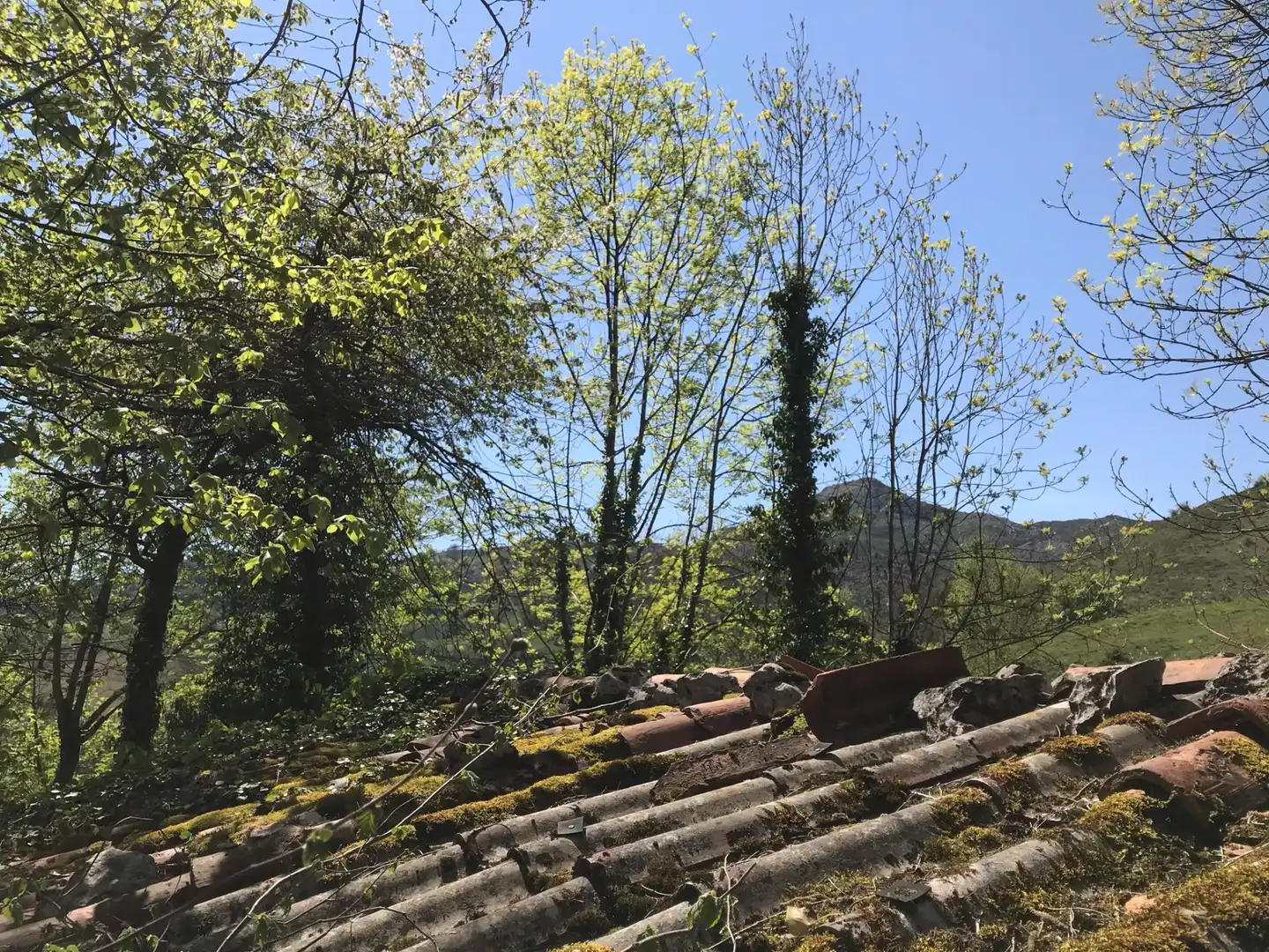 Terreno rustico in vendita a Cangas de Onís, imagen 10