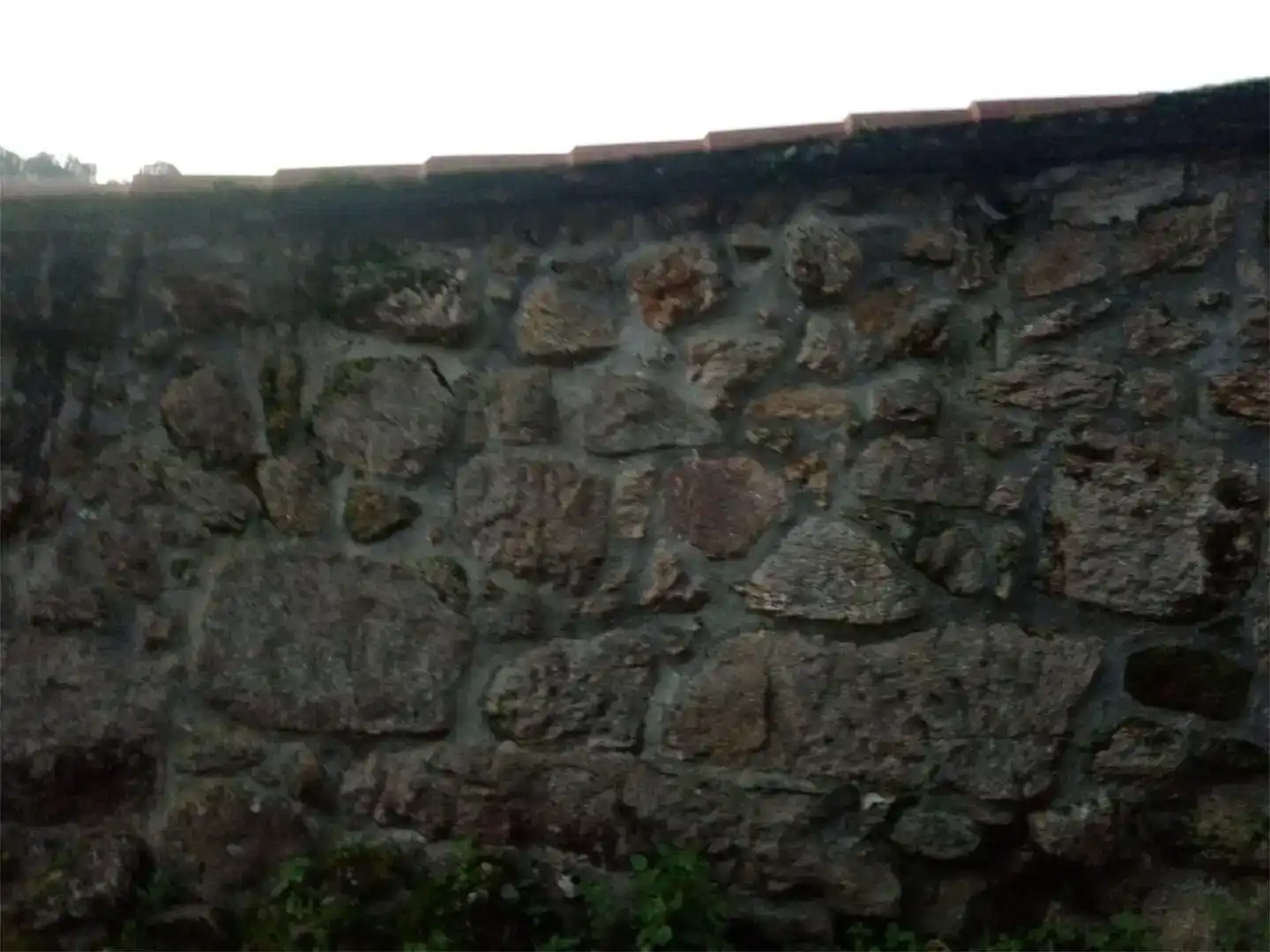Vista exterior de Casa o xalet en venda en Pontevedra Capital  amb Jardí privat, Parquet i Traster