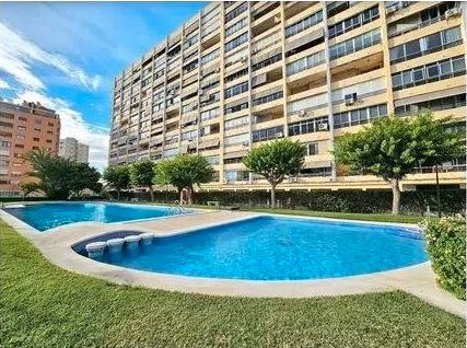 Swimming pool of Study for sale in Alicante / Alacant  with Private garden, Terrace and Furnished