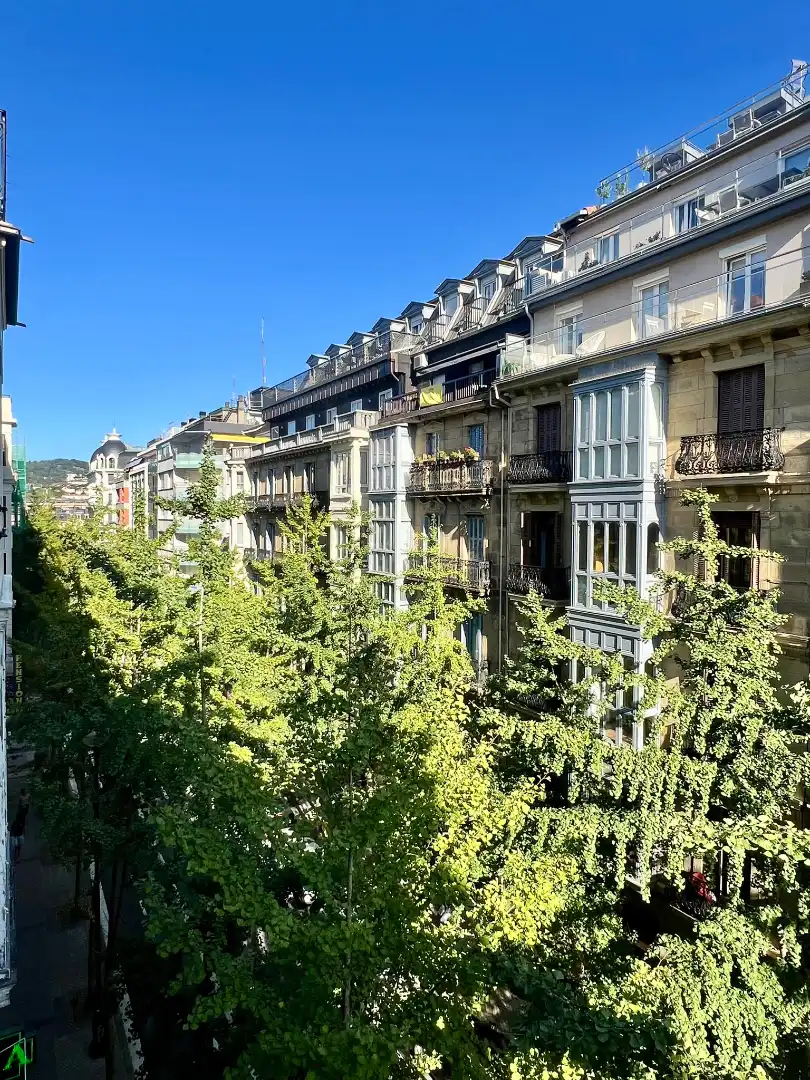 Pis amb terrassa en venda a San Martin Kalea, imagen 13