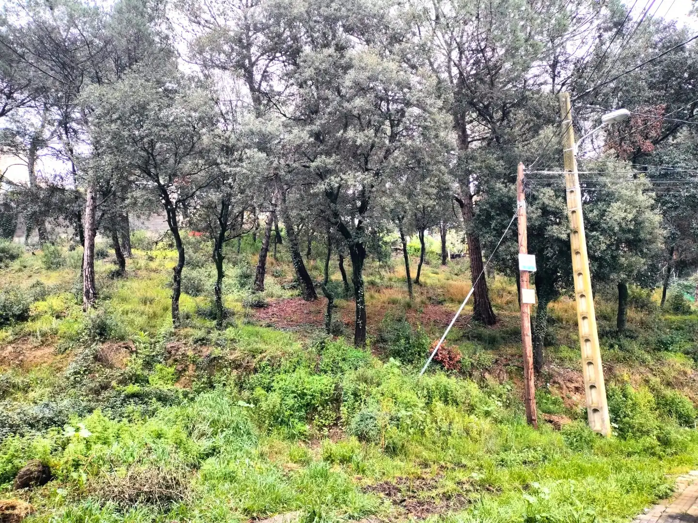 Terreno residencial en venta en Carrer Llessami, imagen 2