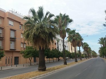 Aparcament amb ascensor en venda a Jose Maria Tomassetti