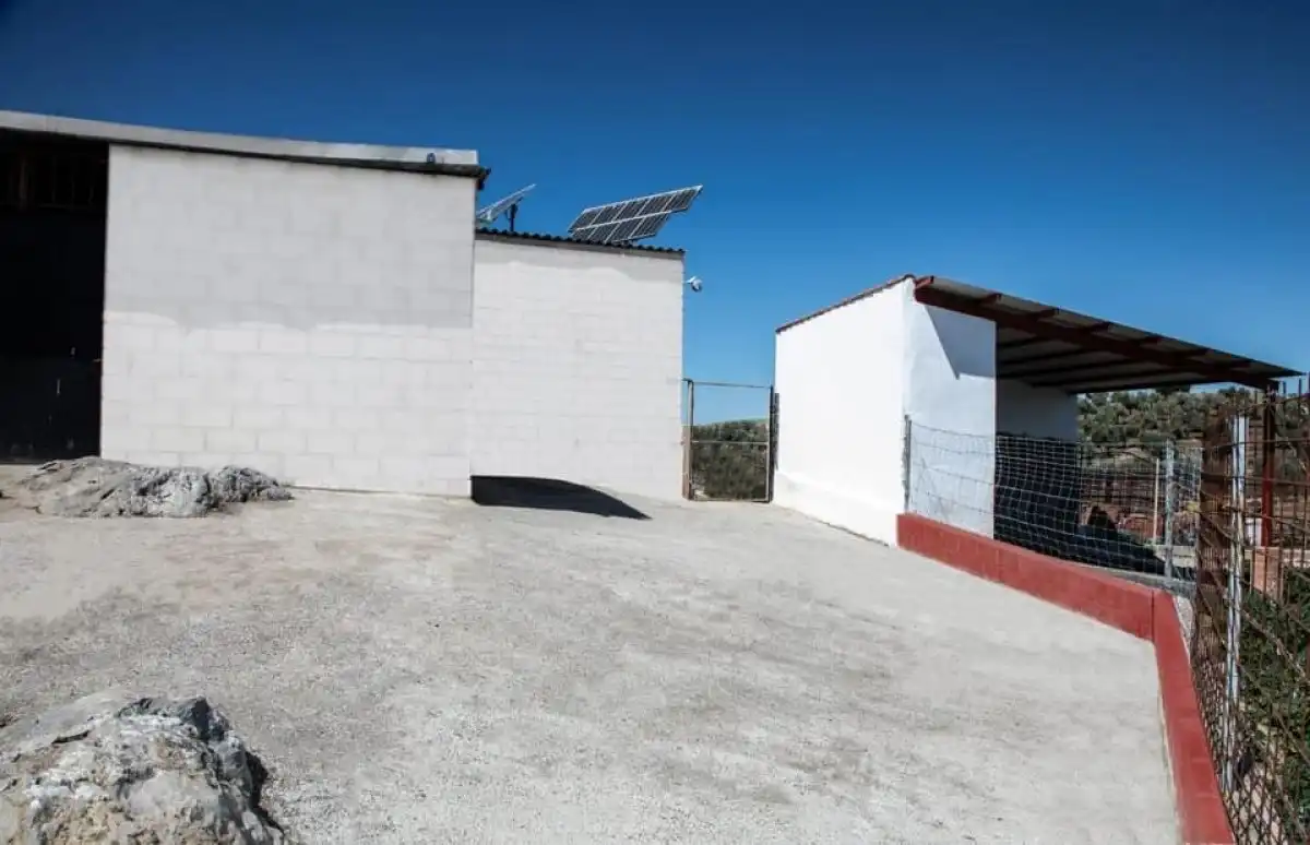 Landhaus zum Verkauf in Peñarroya-Pueblonuevo, imagen 10