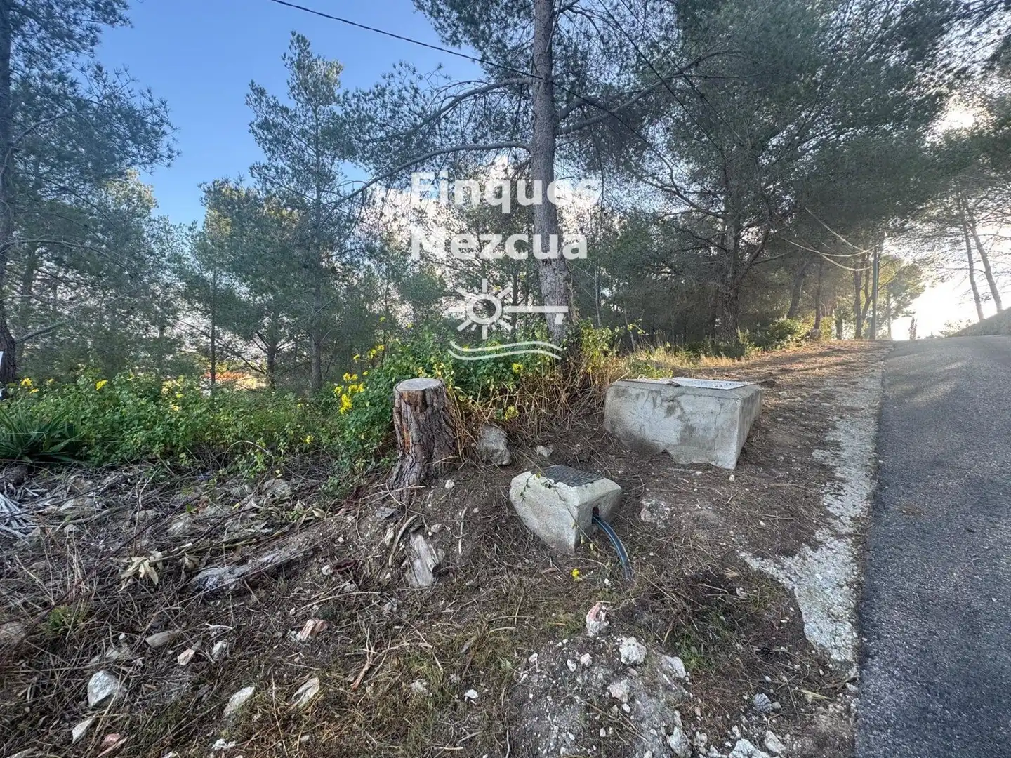 Terreno rustico in vendita a Carrer del Ter, 113, imagen 5