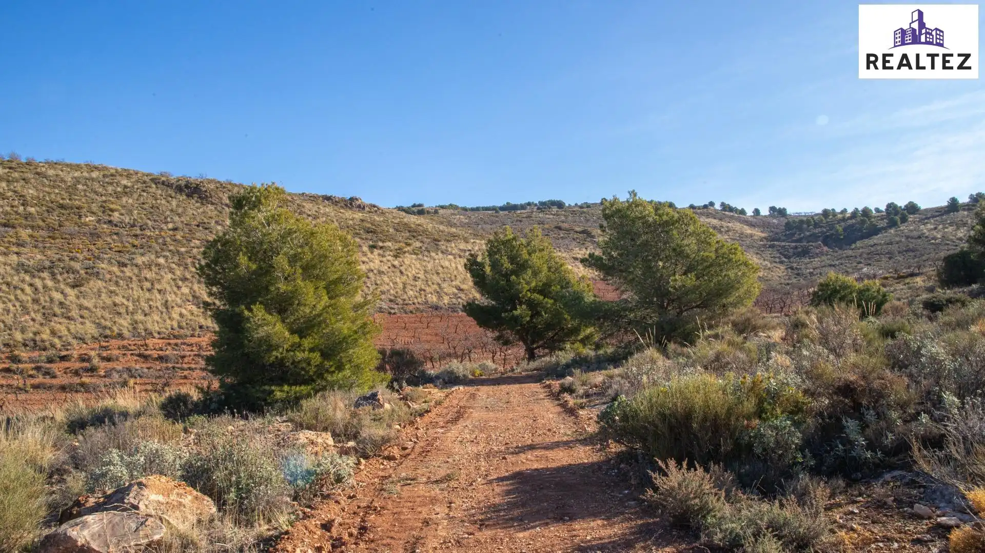 Terrain rustique à vendre à Alcolea, imagen 8