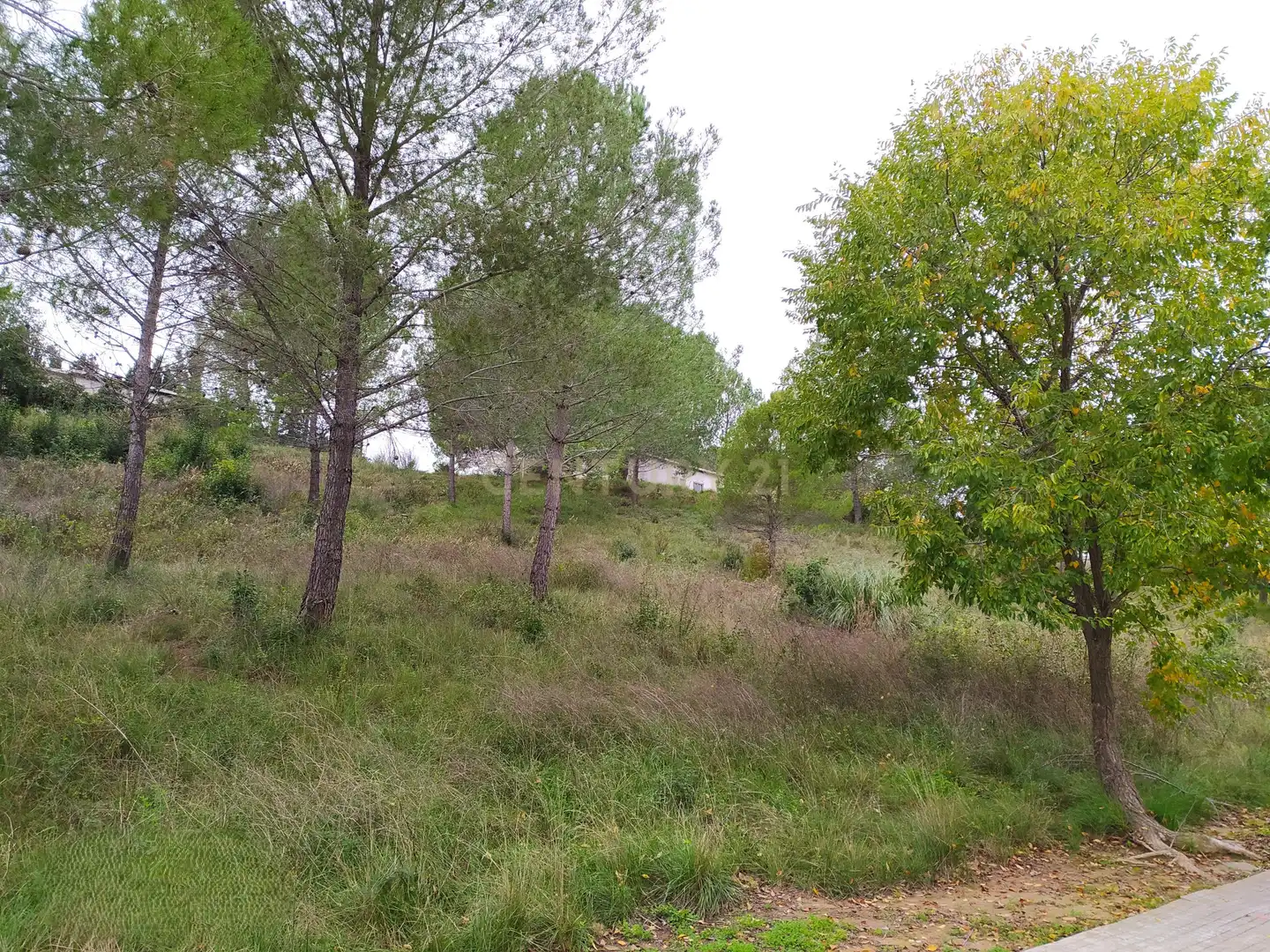 Residential land for sale in Ronda de la Pagesia, Sant Llorenç d'Hortons, Spain 67A, imagen 35