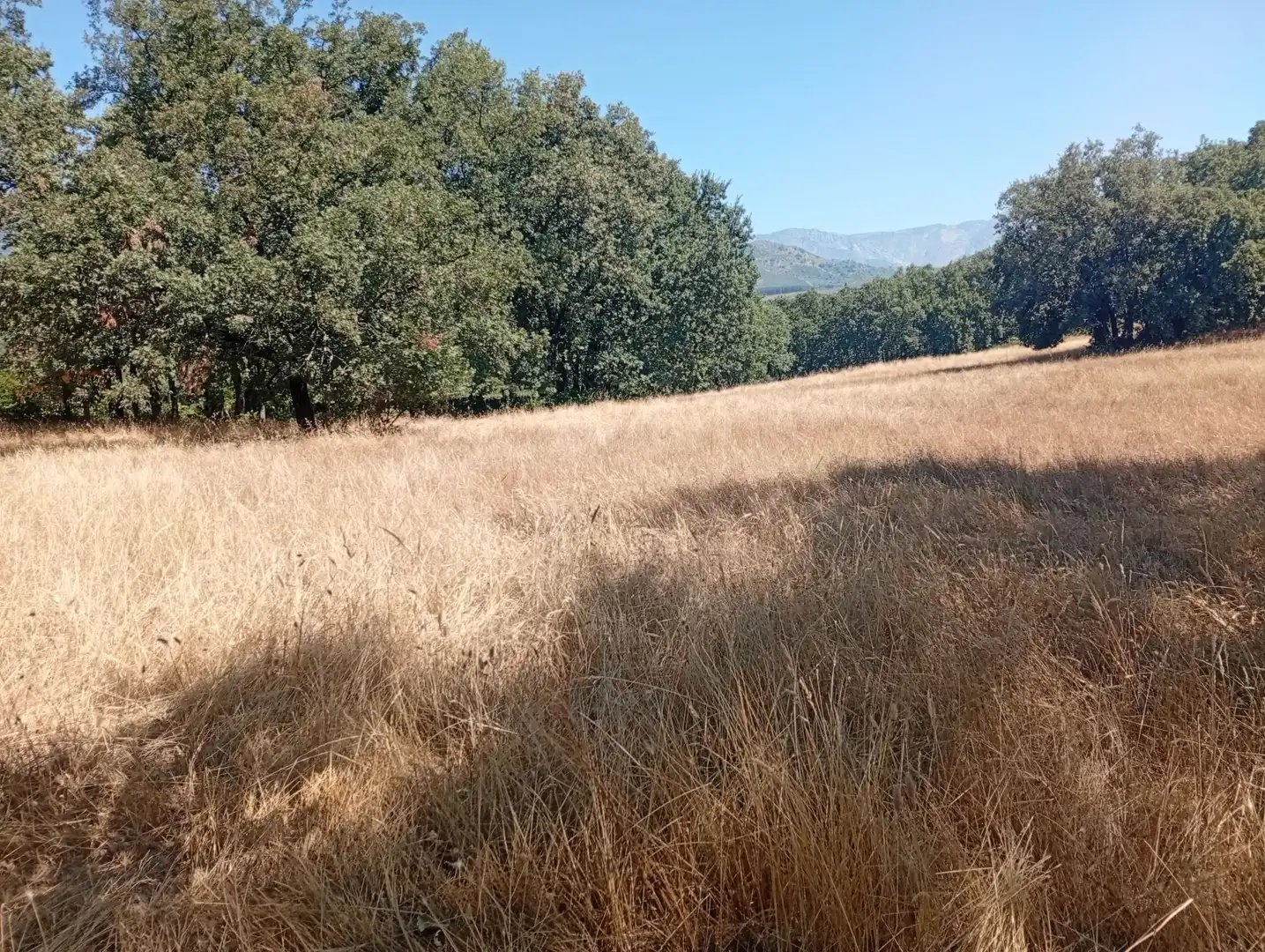 Terreni e lotti in vendita a Villanueva de la Vera, imagen 58