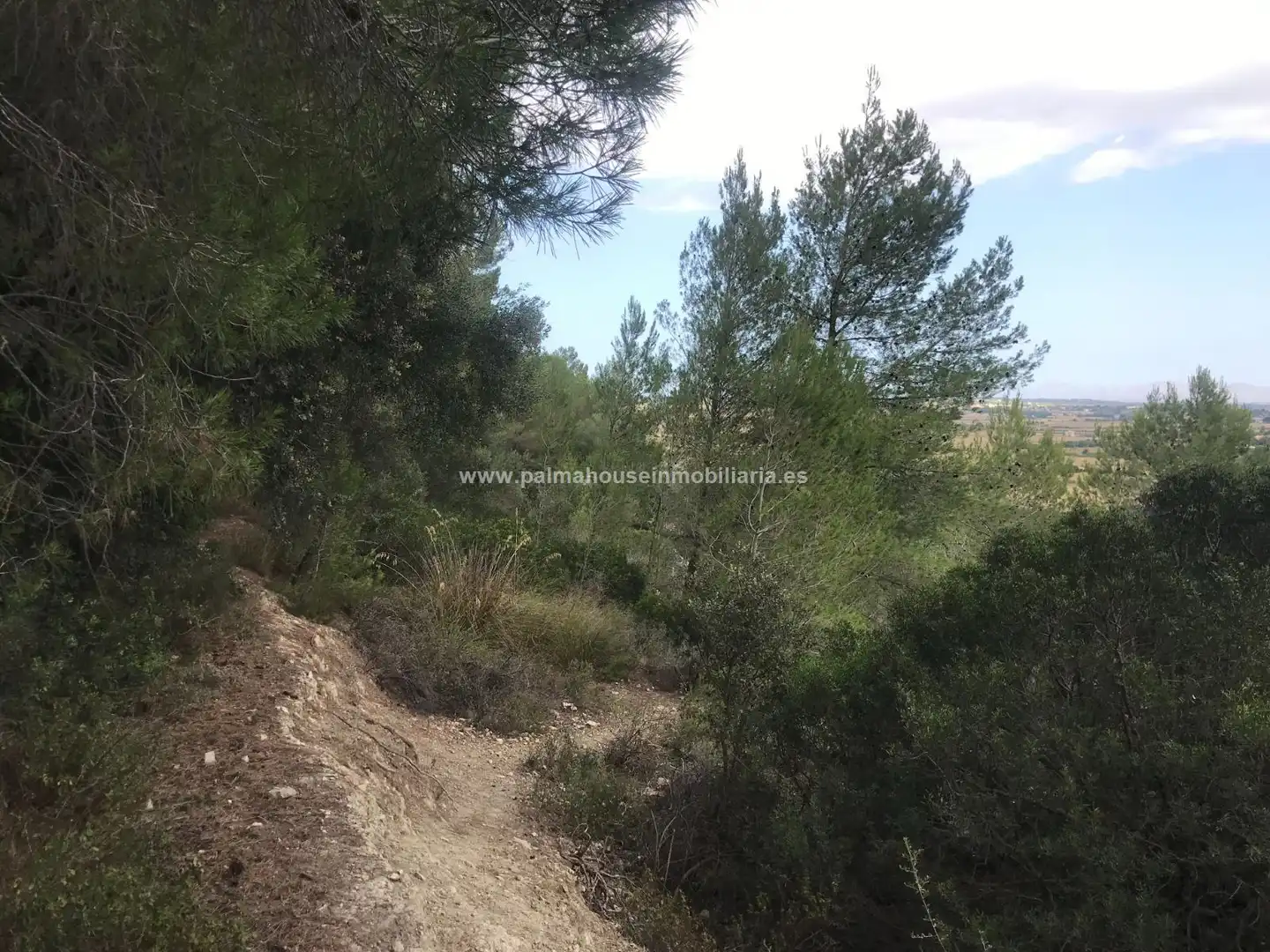 Finca rústica en venta en Maria de la Salut con Calefacción y Terraza