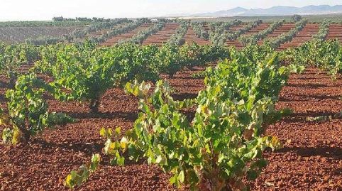 Foto 4 de Finca rústica en venta en Valdelasierpe, Santa Marta, Badajoz