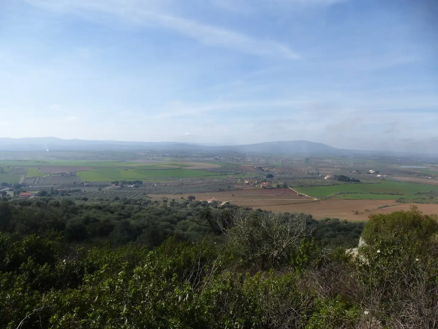 Land for sale in La Haba 