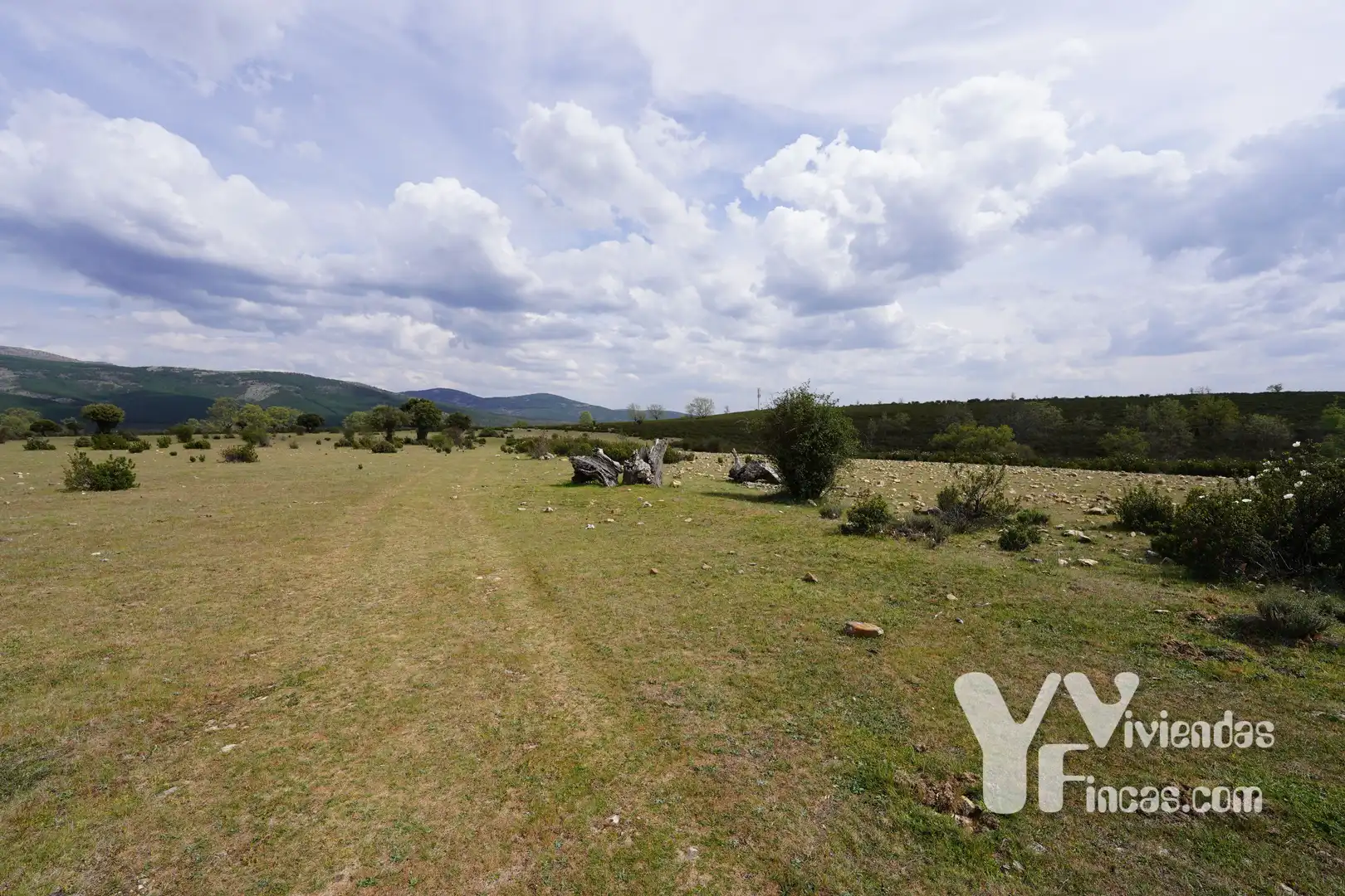 Terreno rústico en venta en Campillo de Ranas, imagen 30