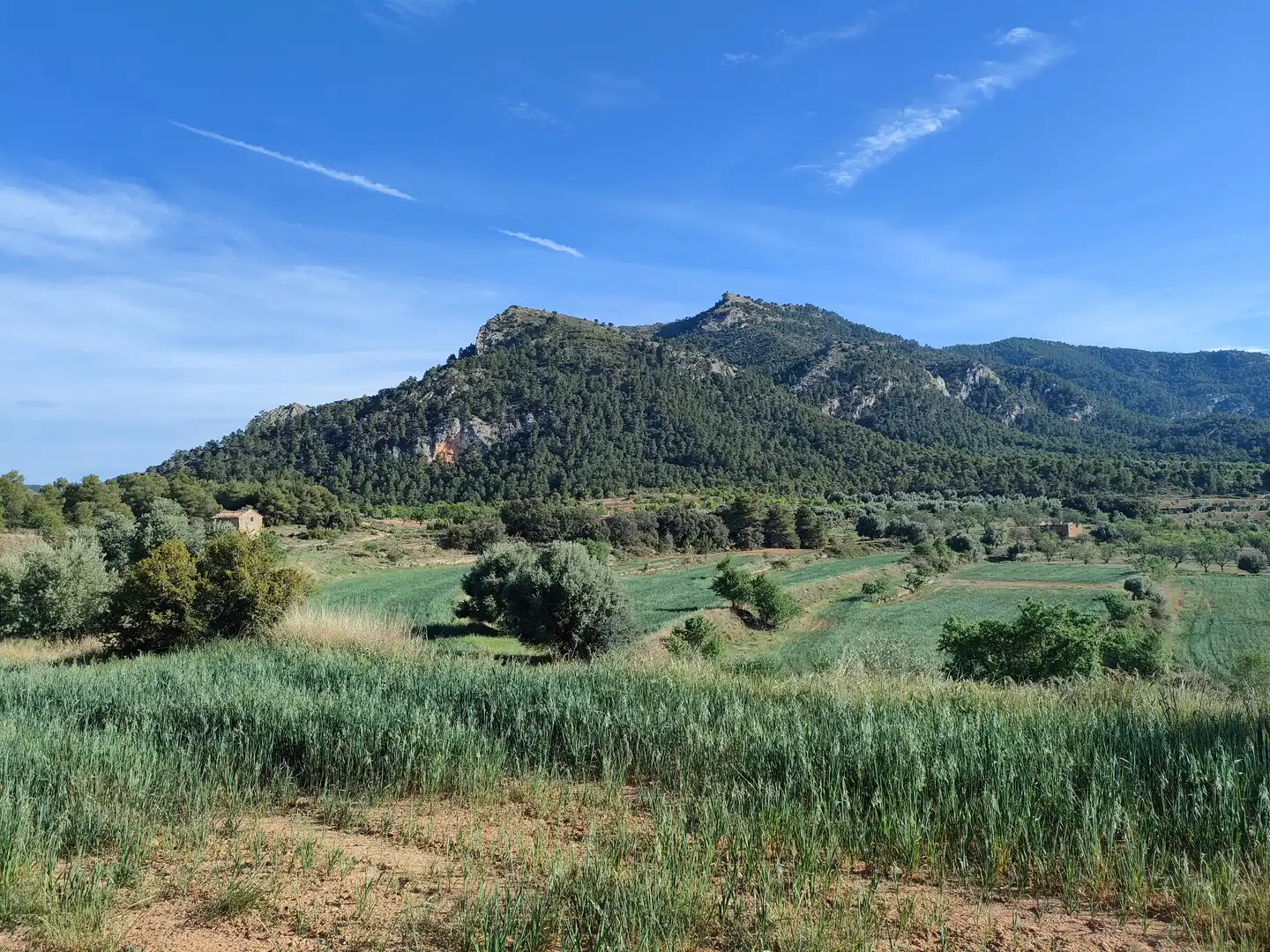 Terreni e lotti in vendita a Valderrobres, imagen 6