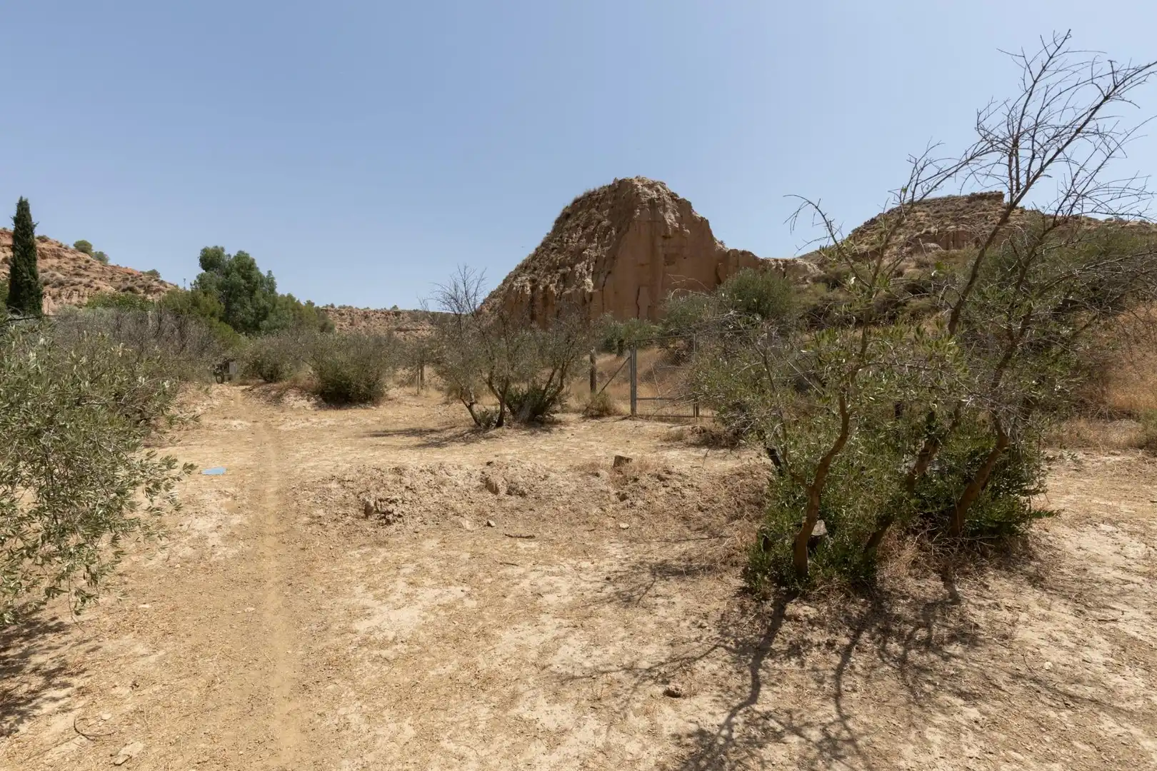 Terreni e lotti in vendita a Guadix, imagen 3