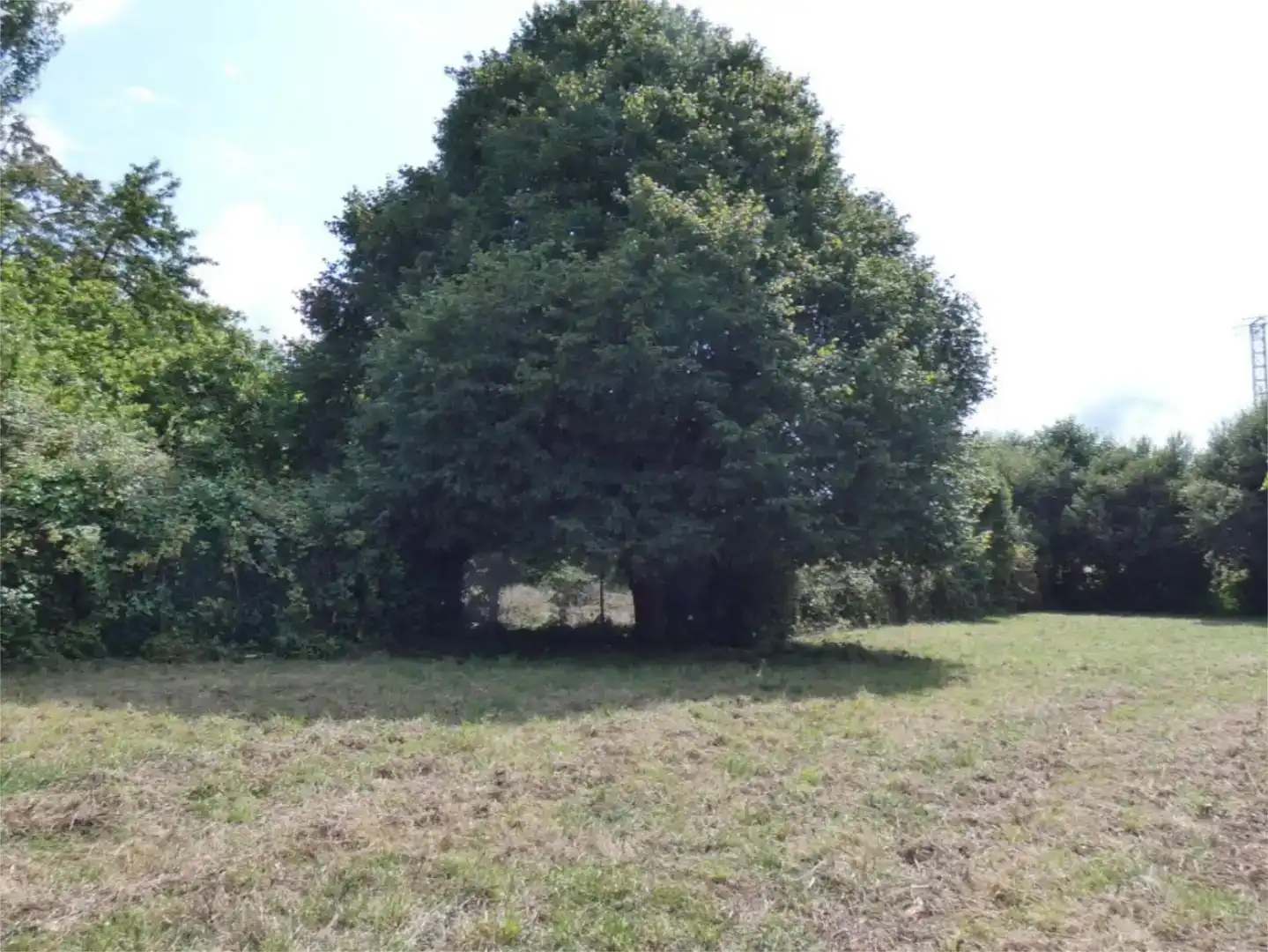 Piso en venta en Ferrol con Jardín privado, Parquet y Balcón