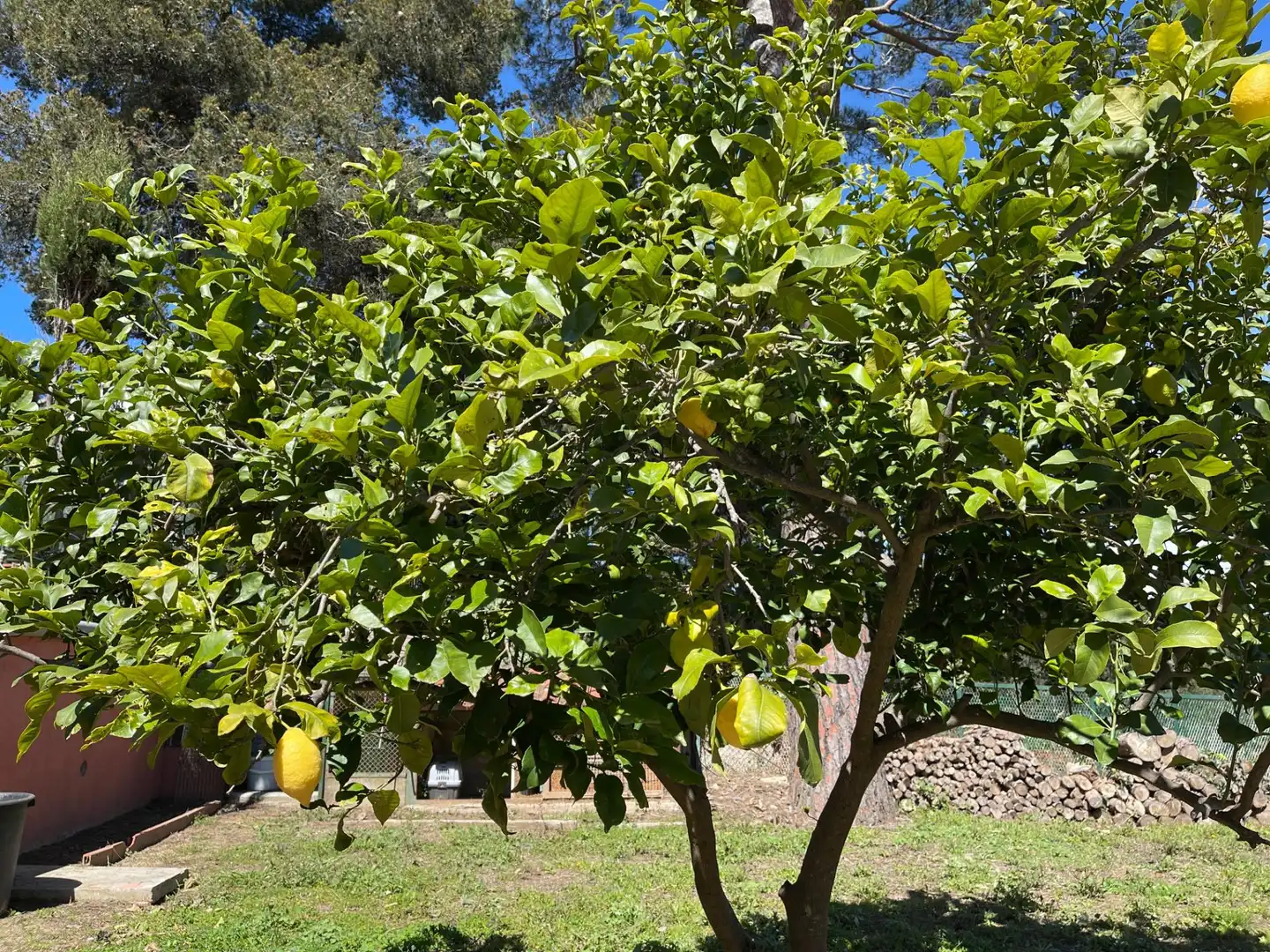 Casa amb jardí en venda a Llinars del Vallès, imagen 66