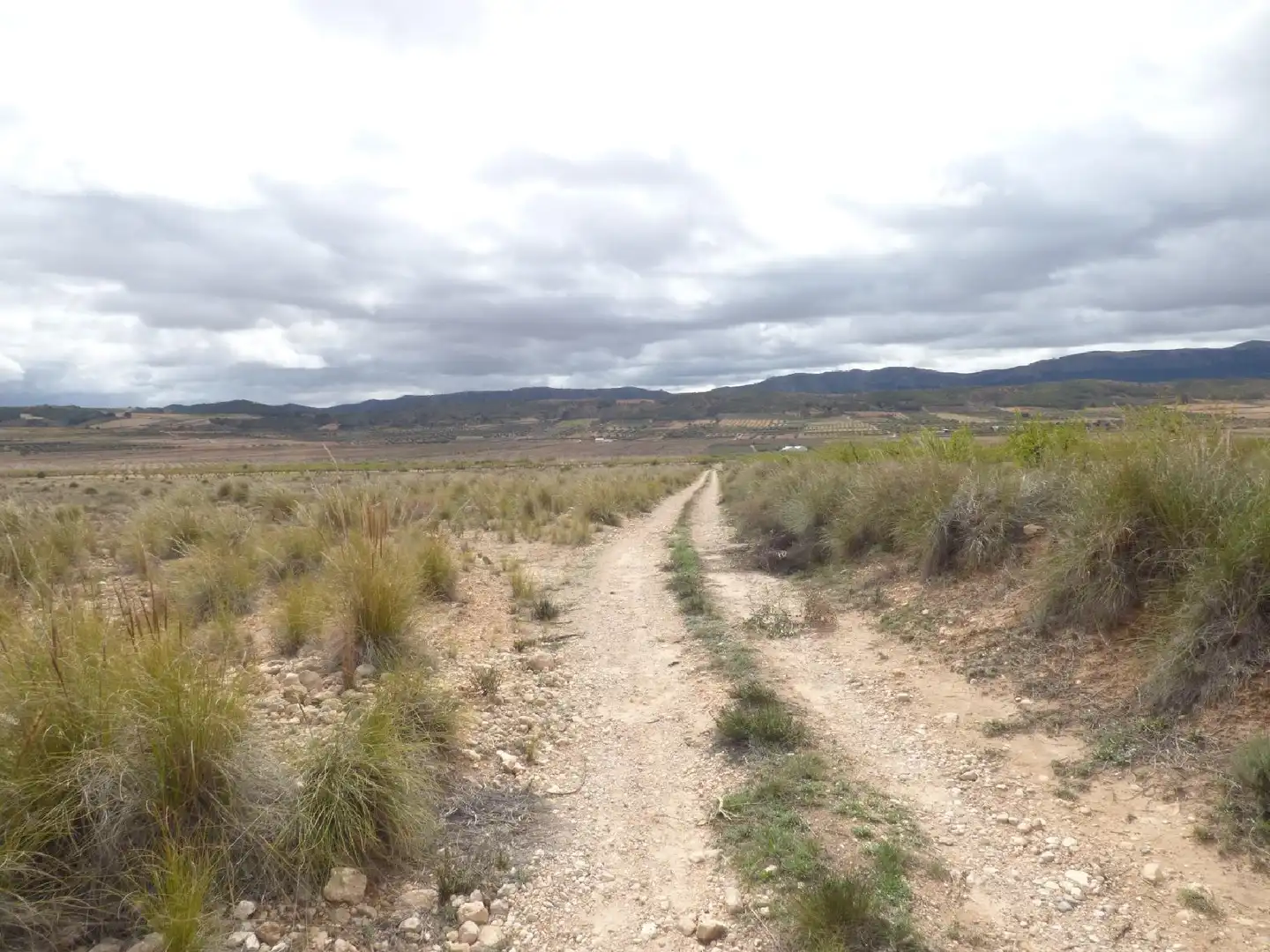 Rustikales Grundstück zum Verkauf in Jumilla, imagen 9