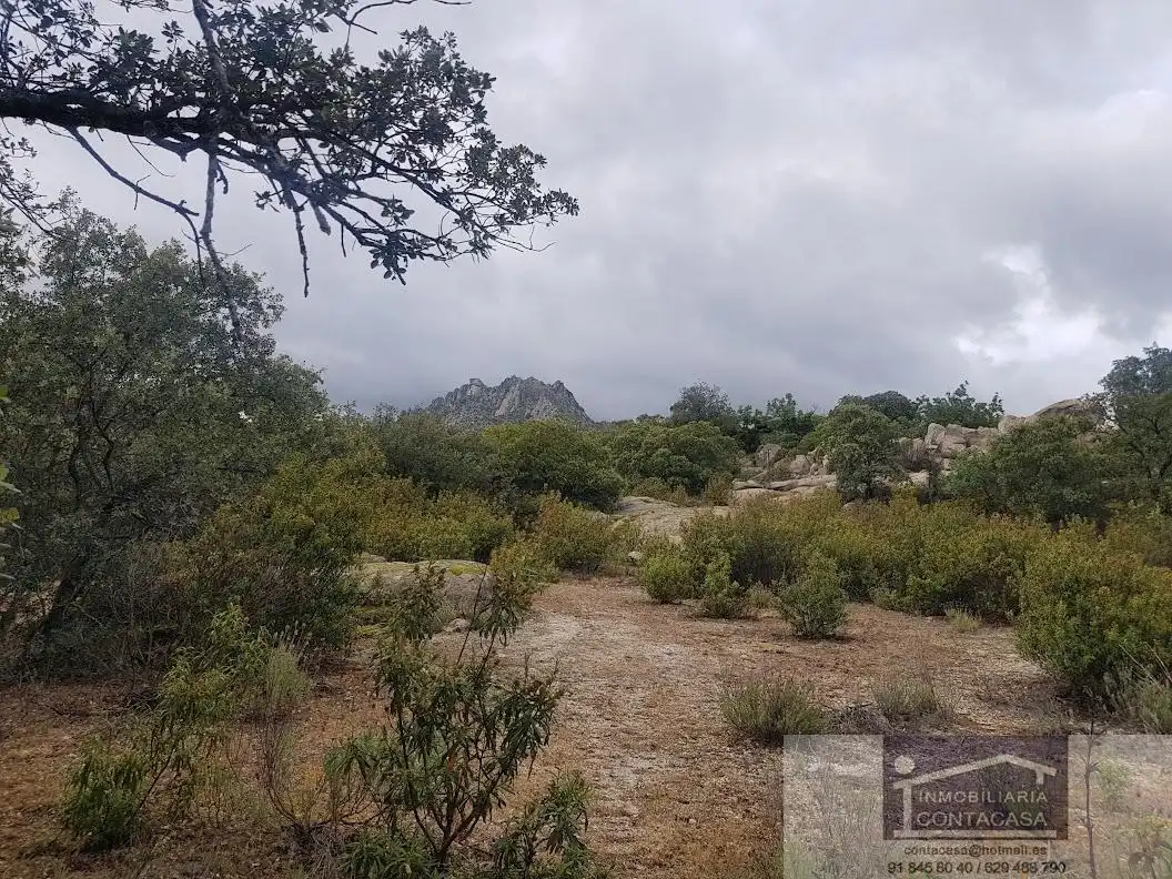 Finca rústica en venta en La Cabrera
