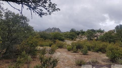 Photo 5 of Country house for sale in La Cabrera, Madrid