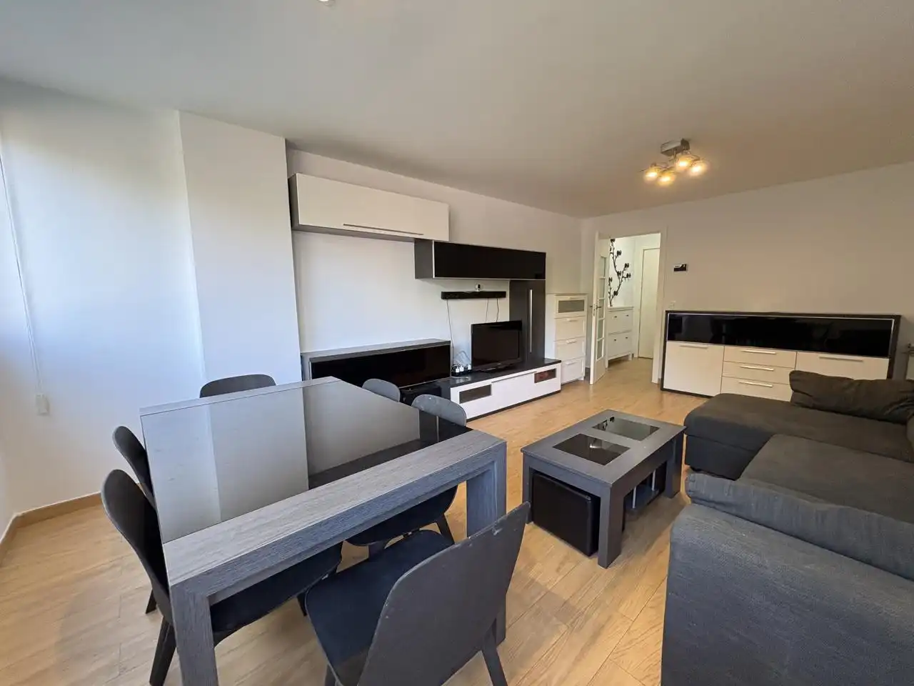 Living room of Flat for rent in Madrid  with Air Conditioner, Heating and Furnished