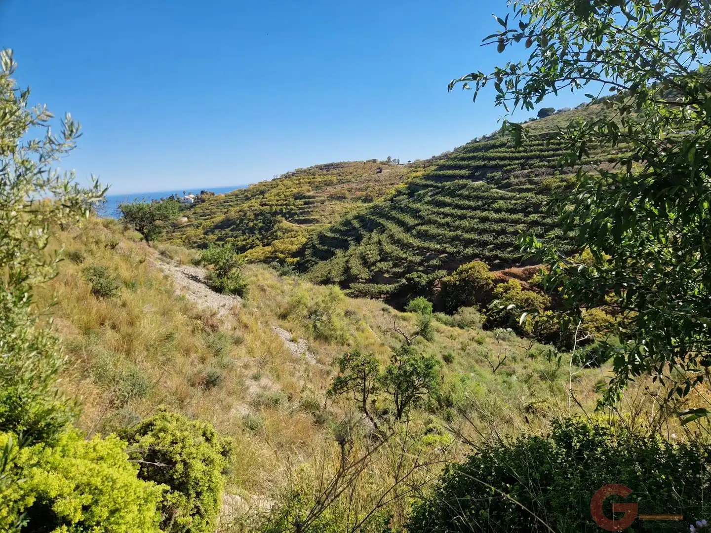 Terrenys i solars en venda a Monte los Almendros - El Pargo - Costa Aguilera, imagen 22