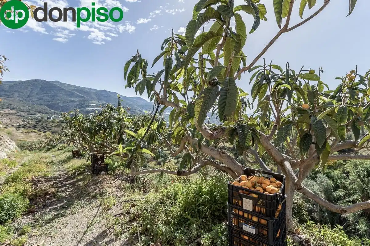 Xalet amb terrassa en venda a Polígono 4 Paraje 36 BARTOLO, imagen 58