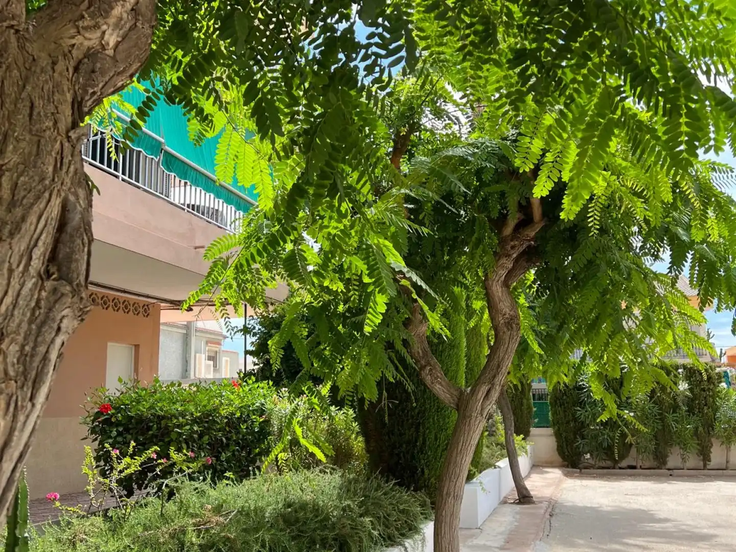 Apartament de lloguer a Bahia