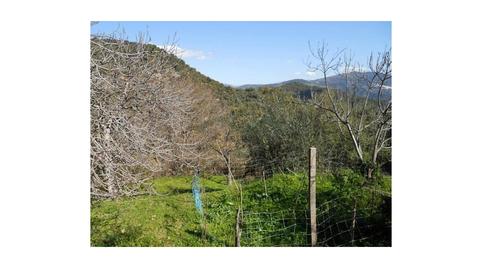 Photo 5 of House or chalet for sale in Benarrabá, Málaga