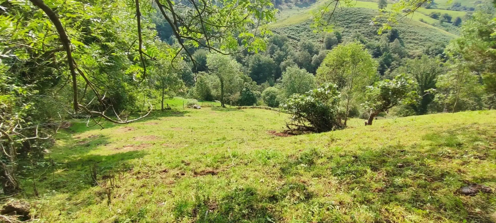 Casa in vendita a Selaya, imagen 7