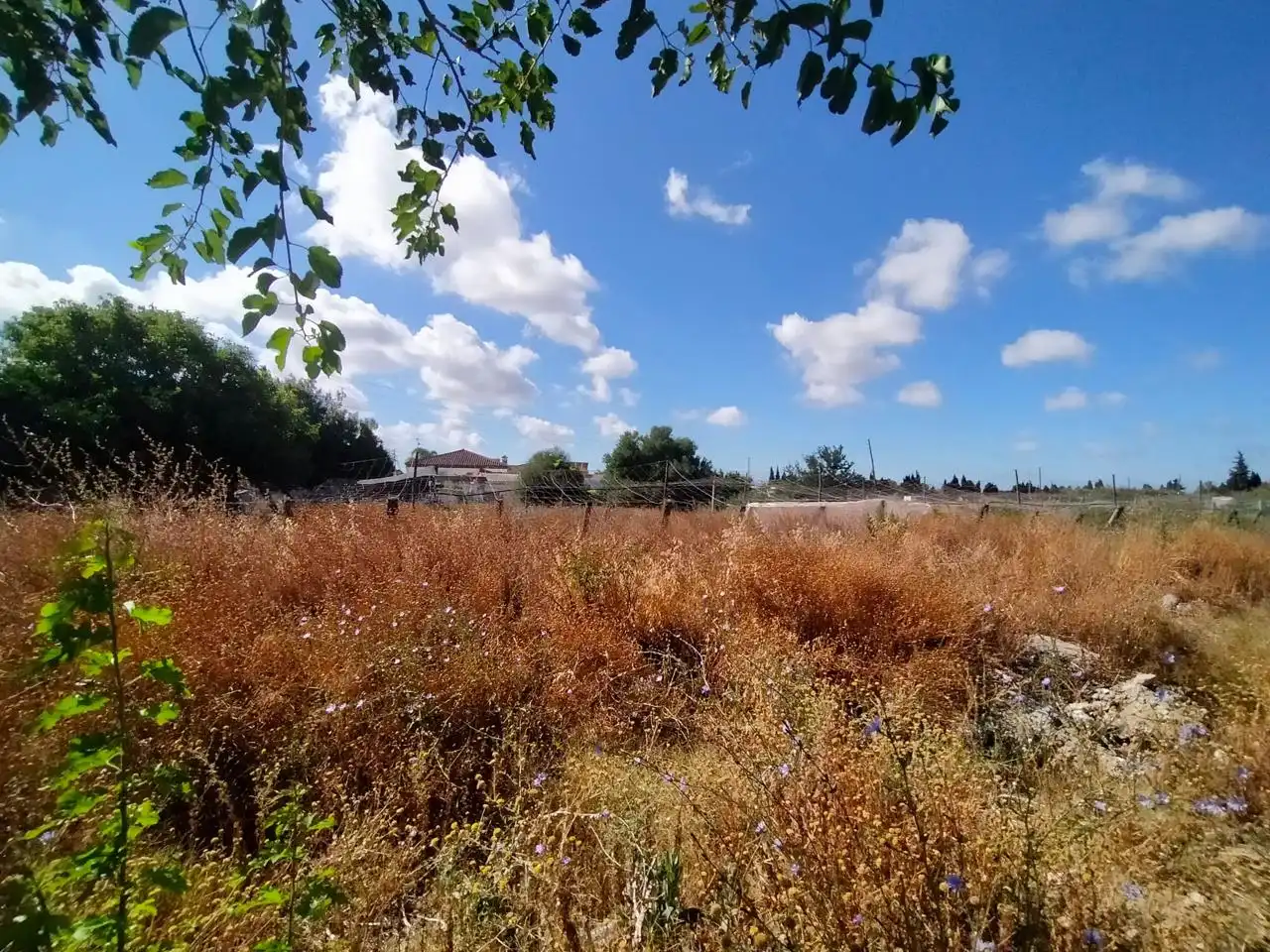 Casa rústica amb jardí en venda a De La Reyerta, imagen 10