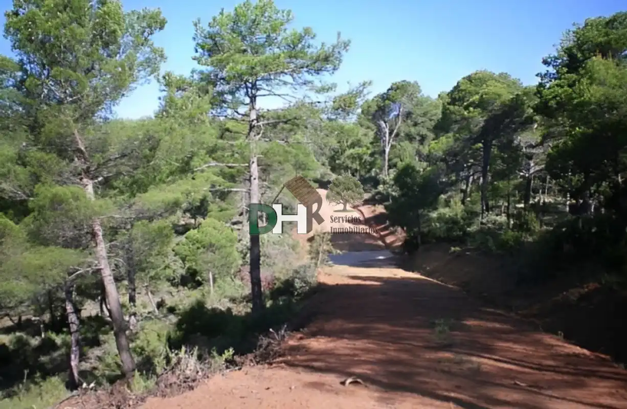 Terreni e lotti in vendita a San Fernando - Carretera de Valencia, imagen 4