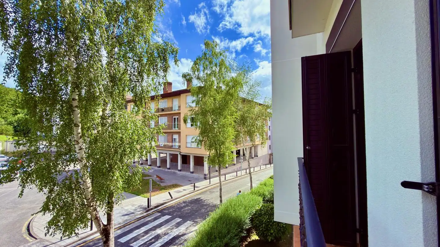 Vista exterior de Pis en venda en Zaldibar
