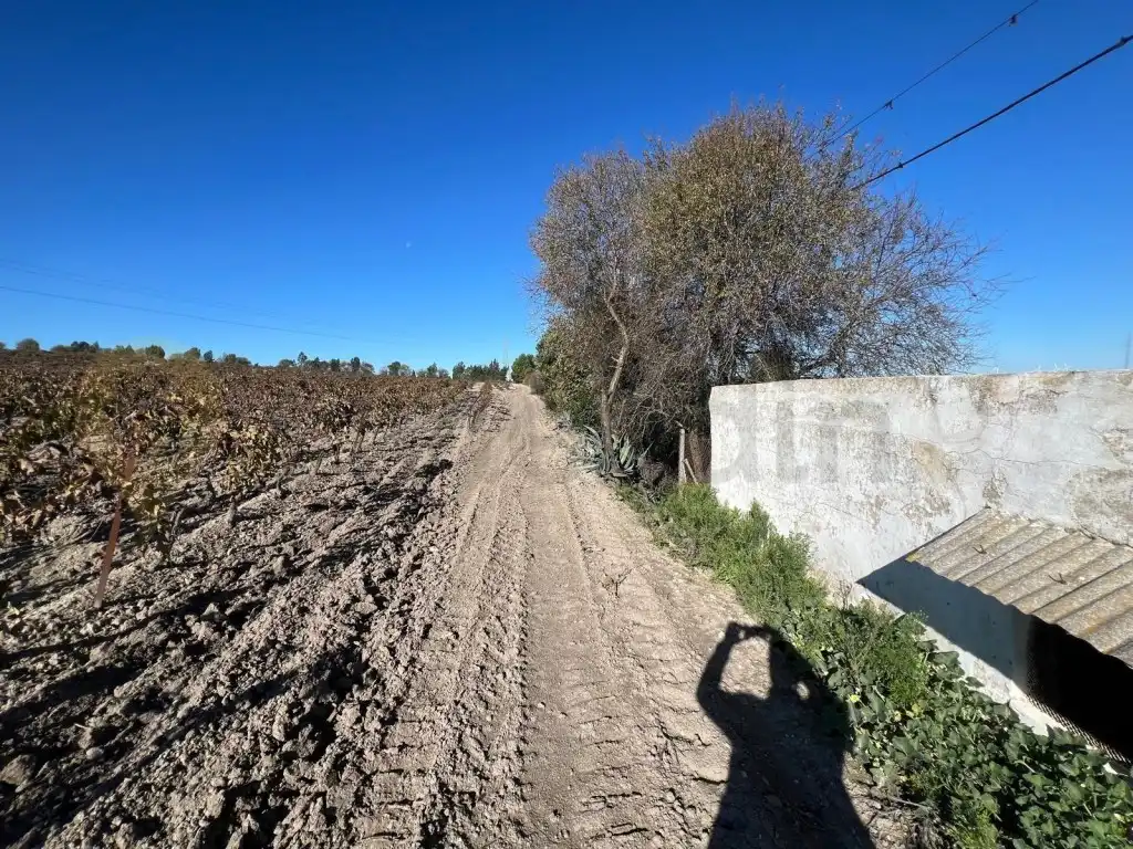 Finca rústica en venta en Jerez de la Frontera