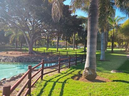 Exterior view of Flat to rent in Las Palmas de Gran Canaria  with Furnished, Oven and Washing machine