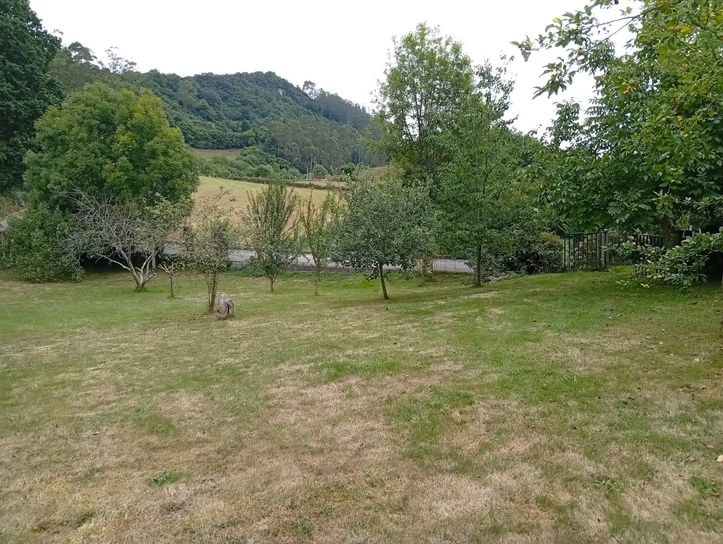 Terreny rústic en venda a Camín de la Xía 686, imagen 10